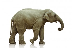 The Elephant in the Agency Room
