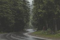 Why We Should Know the Customer's Journey