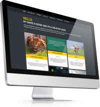 Why Landing Pages?