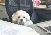 What you want your marketing team to do in 2016?