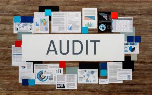 Free vs Paid Marketing Audits: Which Option Delivers the Best ROI?