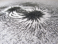 Creating a Lead Magnet