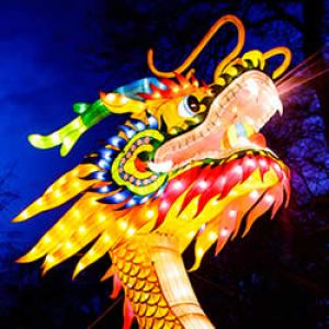 Festival of Lights