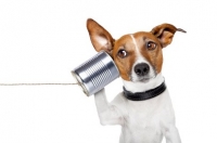 Messaging That Creates A Response