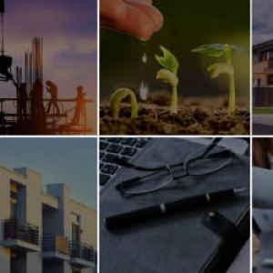 Asset insure
