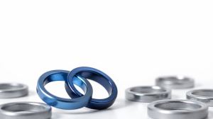 Partner and Channel Marketing: Growing Through Other People's Customer Relationships