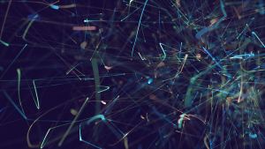 Using Customer Trust to Build Data