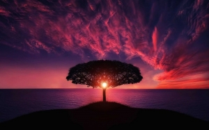 All